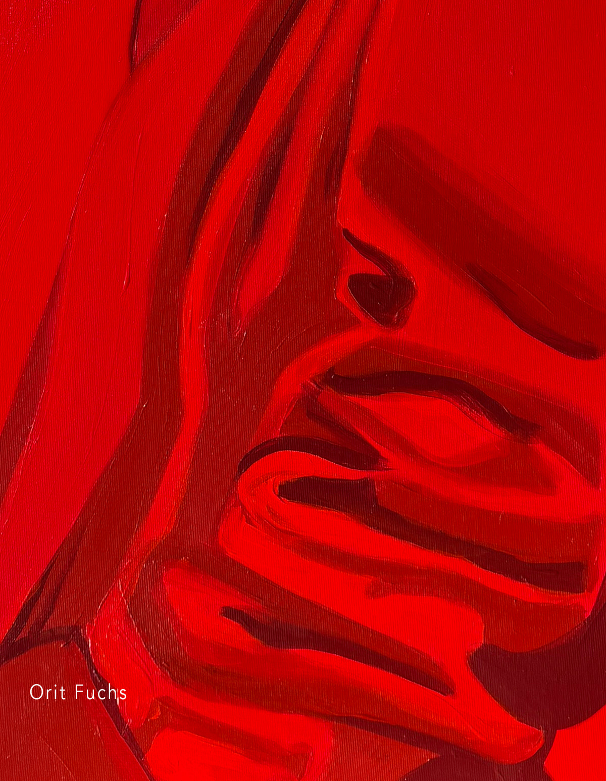 Orit Fuchs / vivid 197, 2026